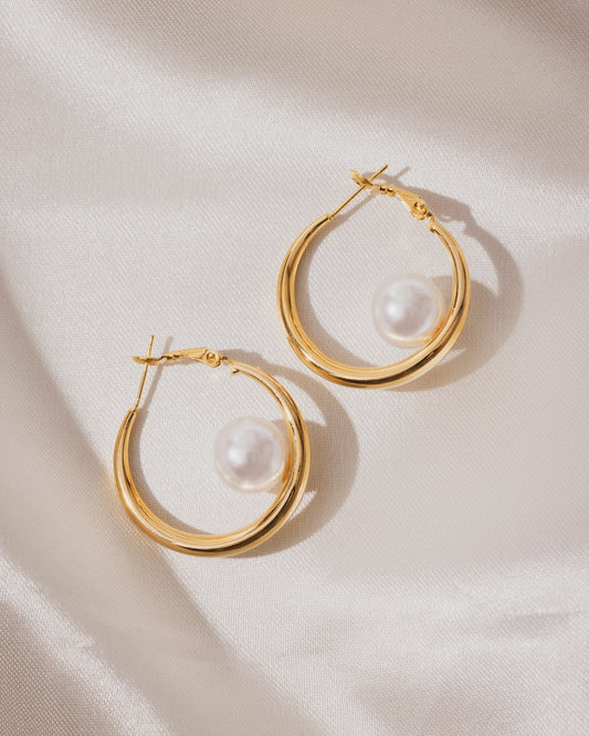 Golden Oyester Hoops  | 18KT Gold Plated 
